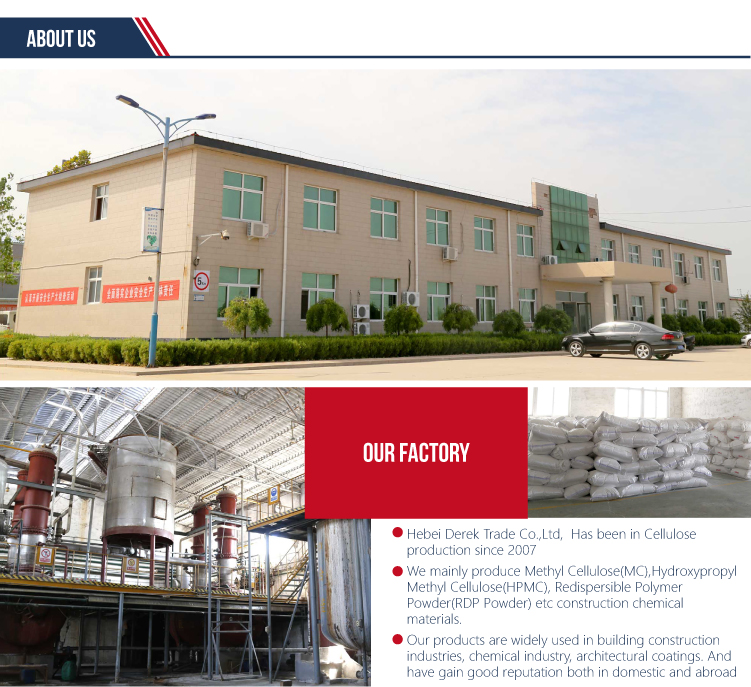 Company Facility