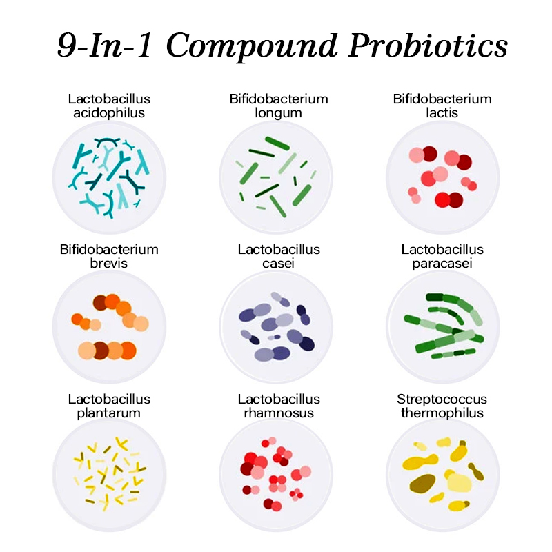 Probiotics Powder Compound Probiotic Powder Manufacturer