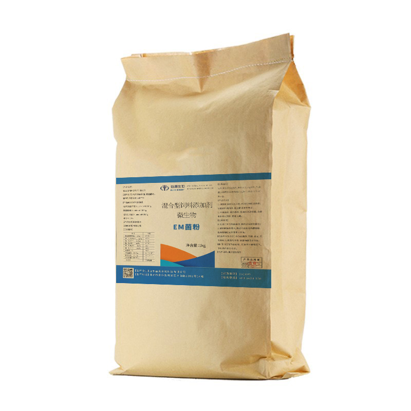Hot Sale 10 Billion Bacillus Subtilis Probiotics For Fish Farming Control Harmful Bacteria