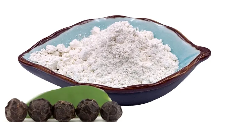 Plant Extract Black Pepper Extract Piperine Cosmetic Raw Materials