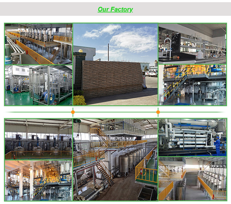 Company Facility 2