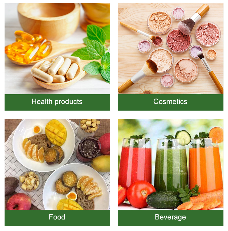 High Quality and Vegan Standard