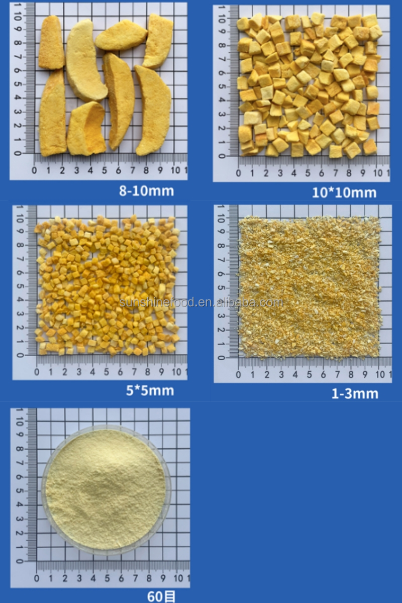 Freeze Dried Fruits Showcase