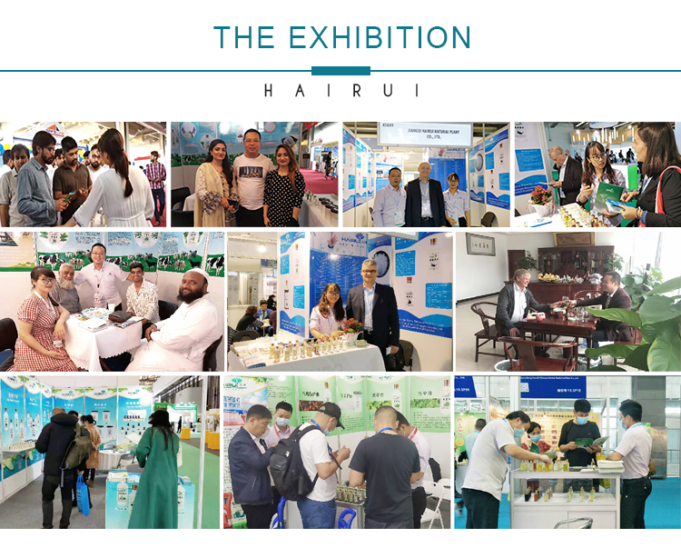 Exhibition Booth and Display