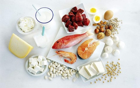 Aminopeptidase Food Application 2