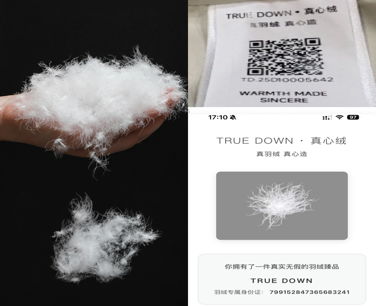 Material Feature