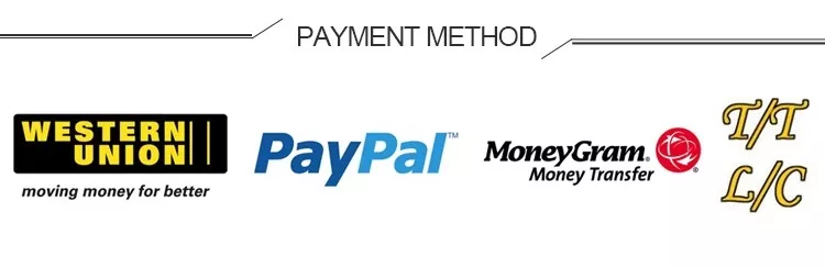 Payment Support