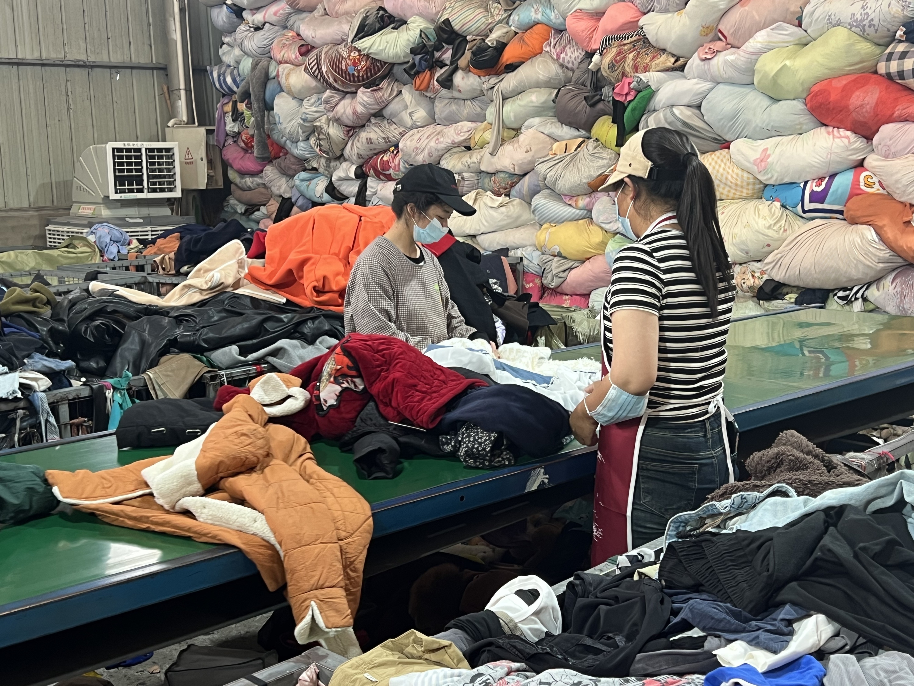 Sorting Process Step 1
