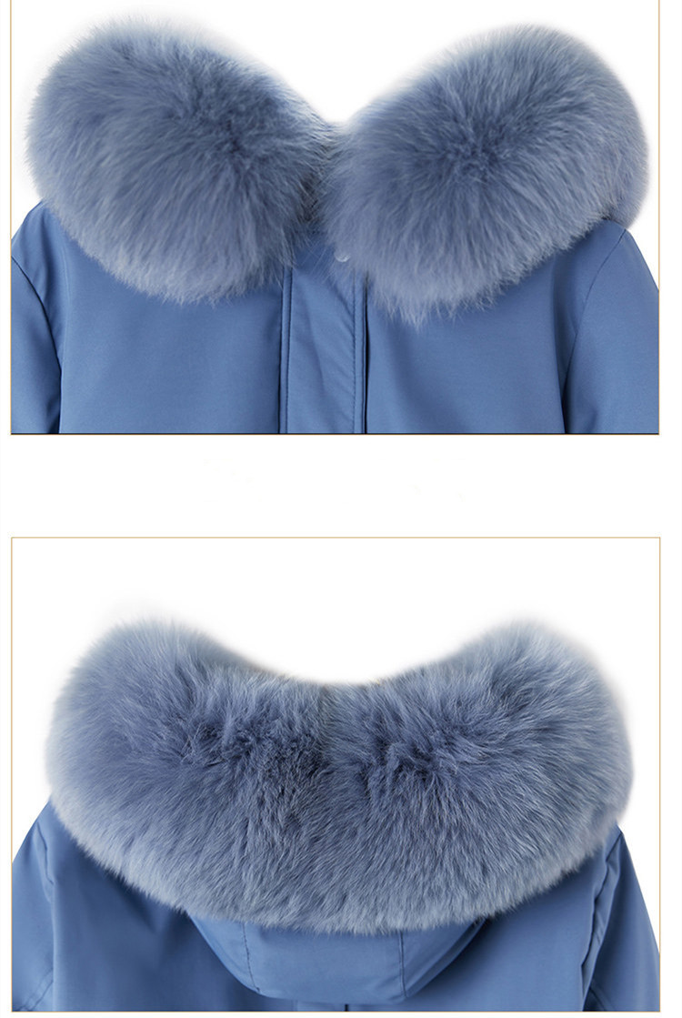Collection Image 7