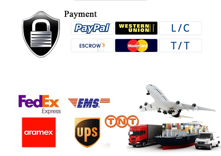 Shipping and Payment