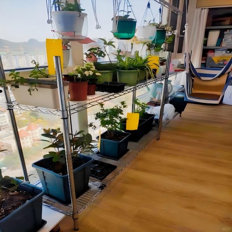 Kitchen Storage Scenario