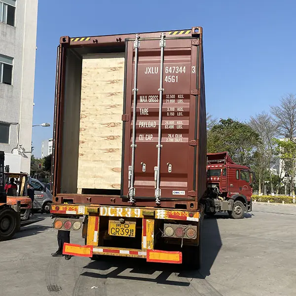 Packing&Delivery 4