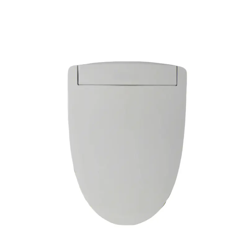 toilet lid