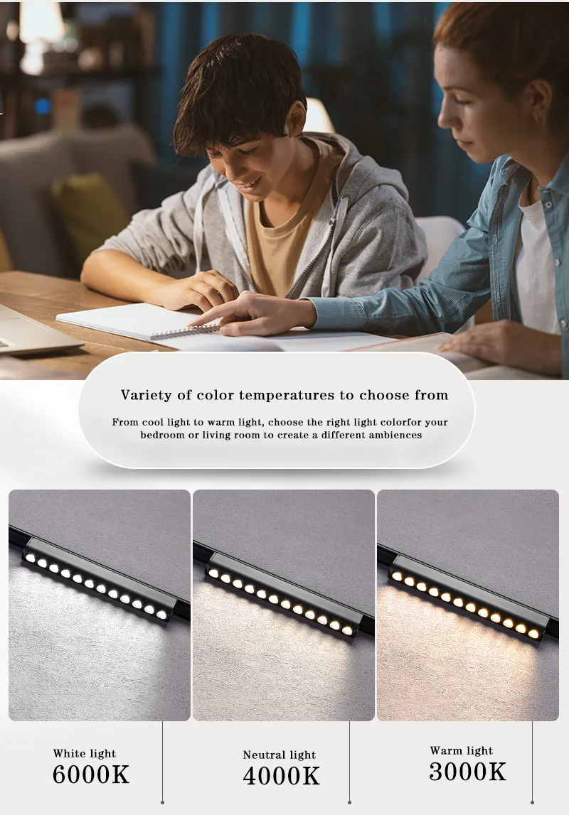 Magnetic Track Light Detail 3