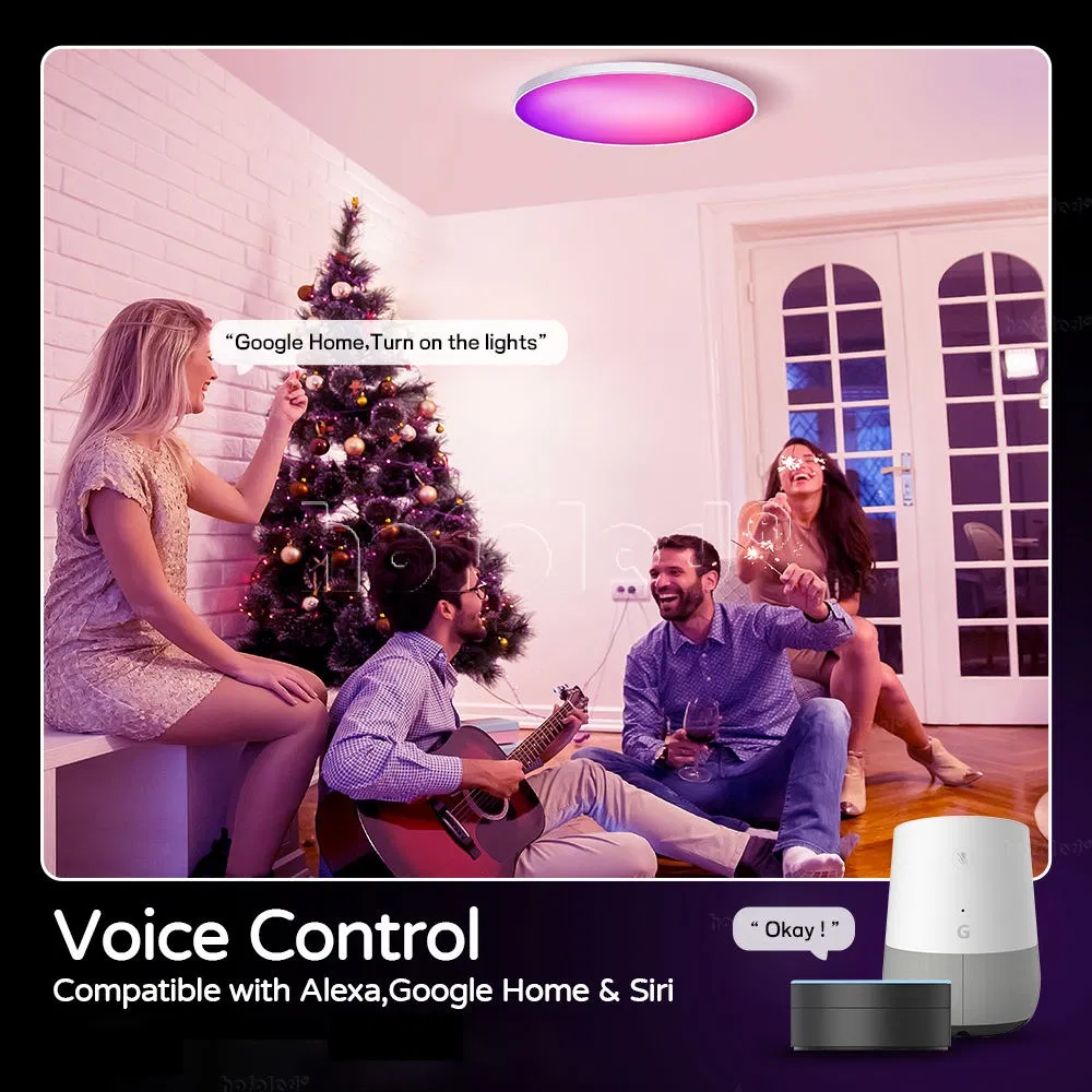 Remote Control 30W 48W Flush Mount Smart LED Ceiling Light