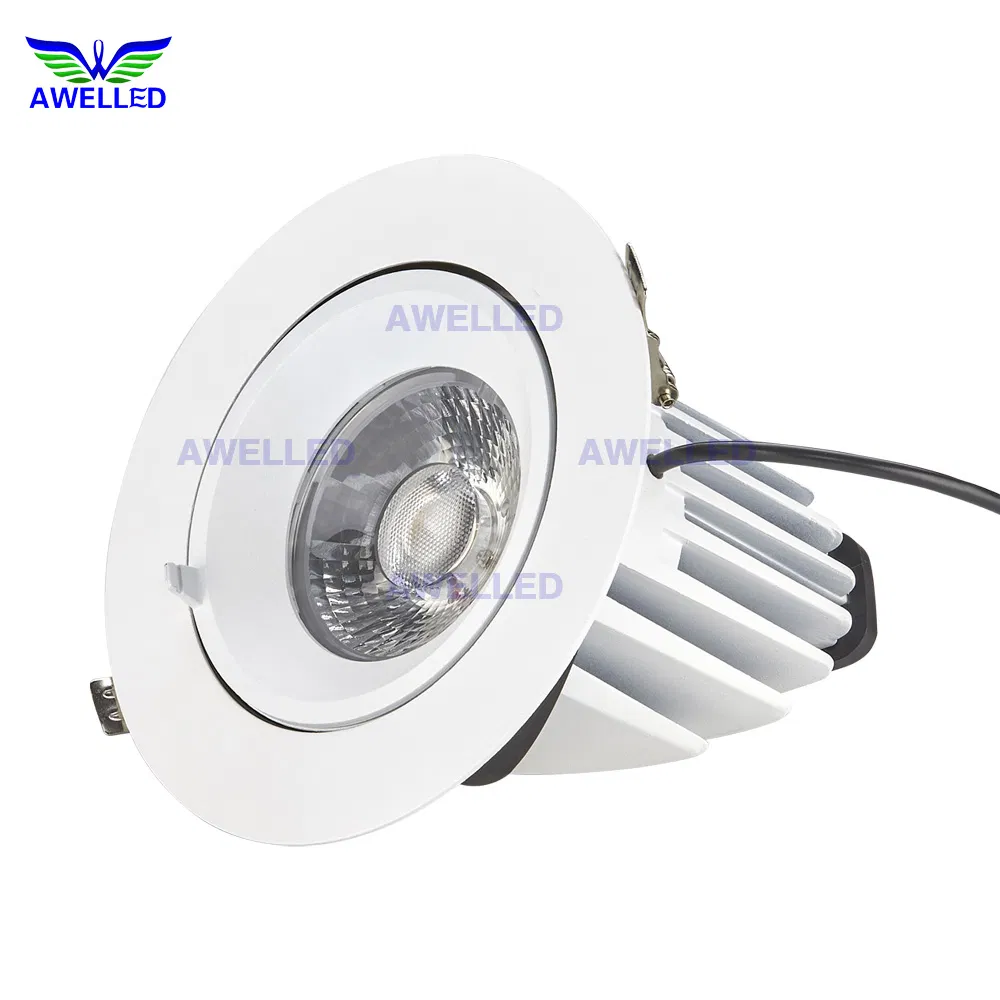 Versatile 25W 5-Inch Recessed LED Downlight with Gimbal Design