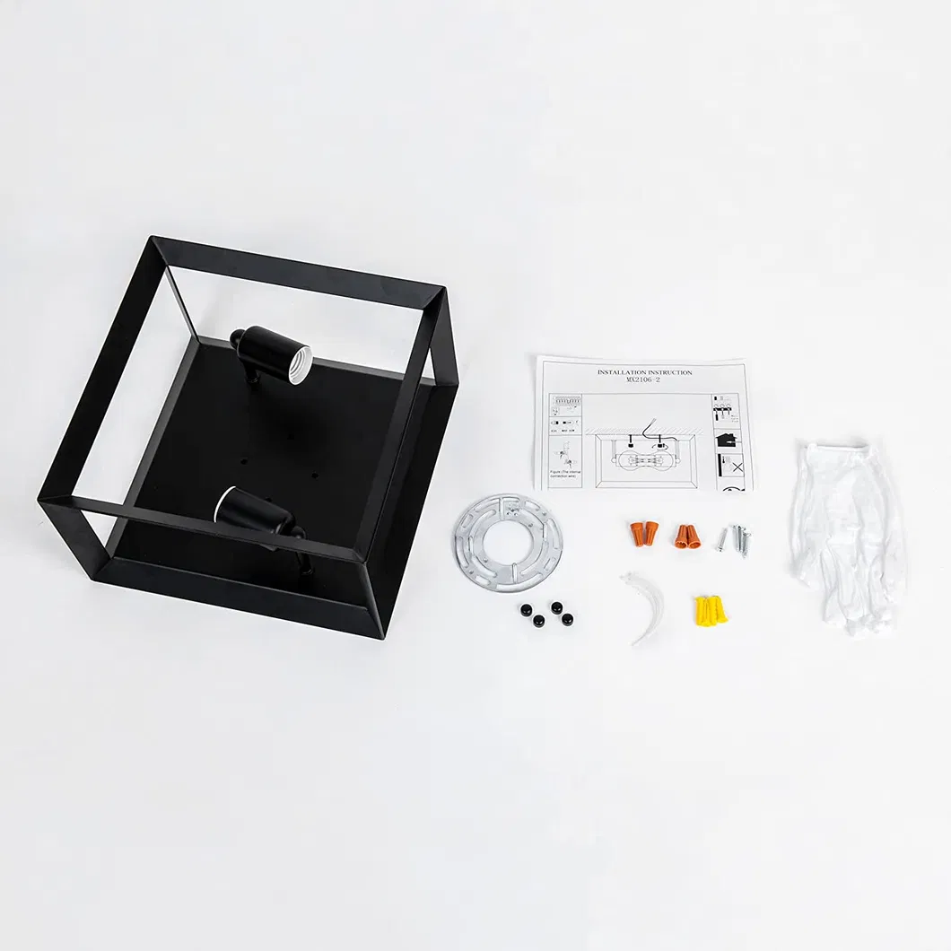 Ceiling Light View 7