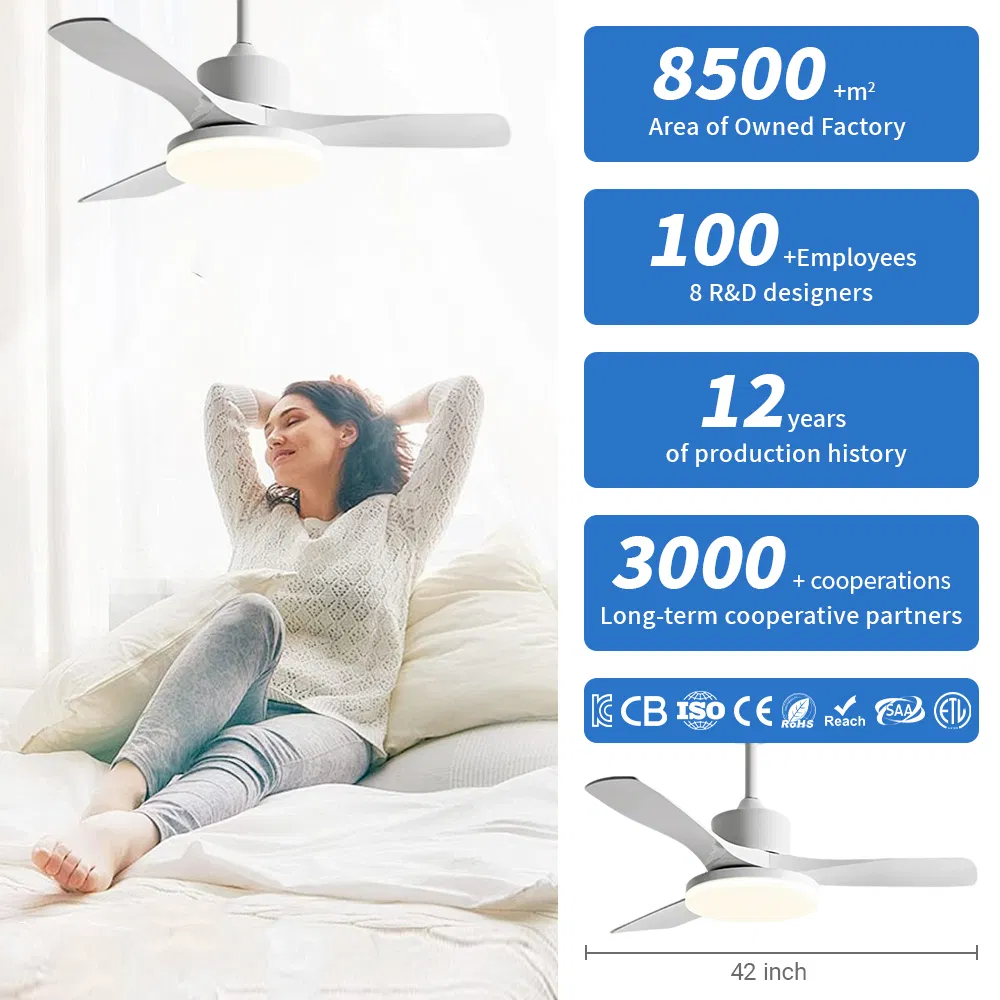 Minimalist Ceiling Fan Light, Matte White ABS Blades, Flush Mount Design