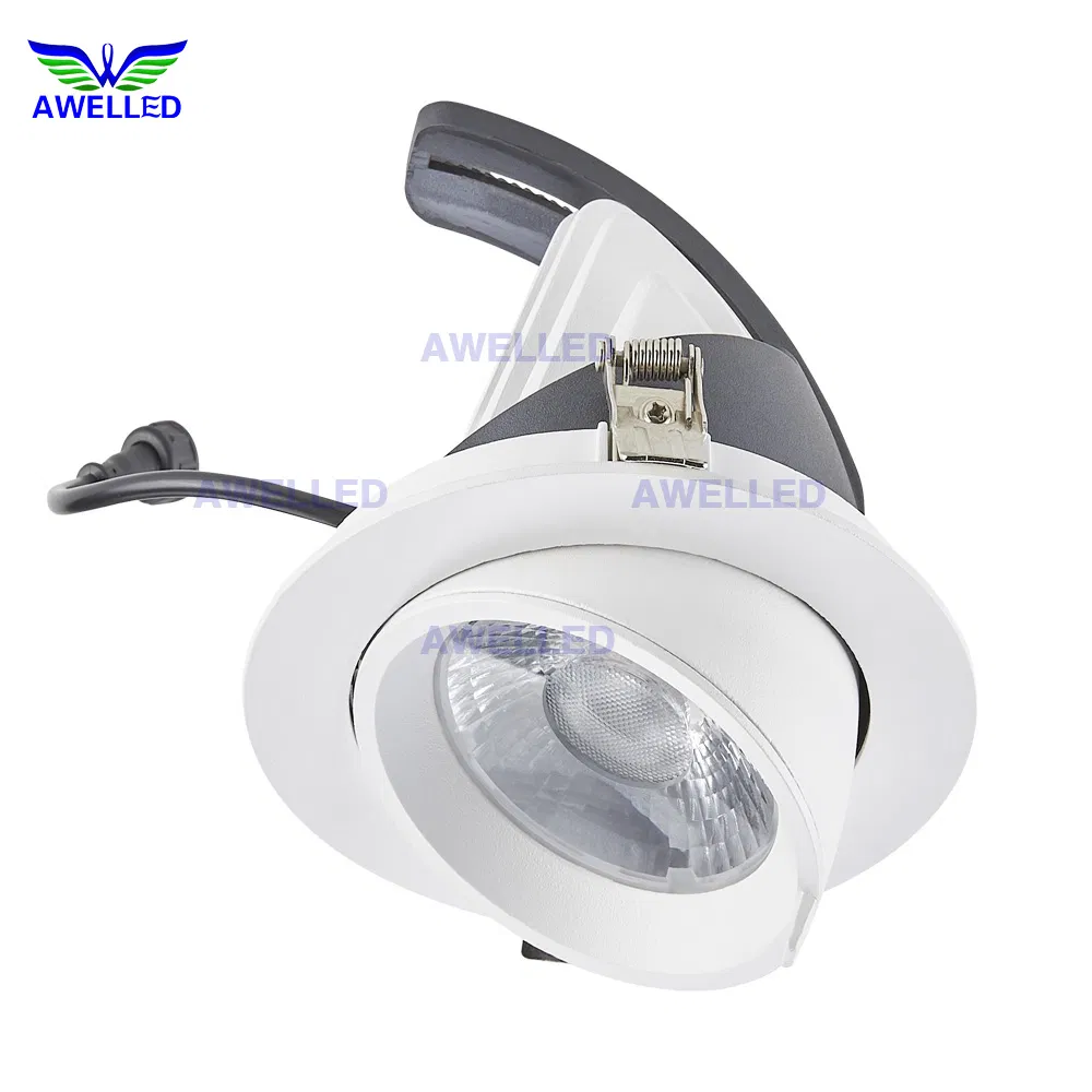 Versatile 25W 5-Inch Recessed LED Downlight with Gimbal Design