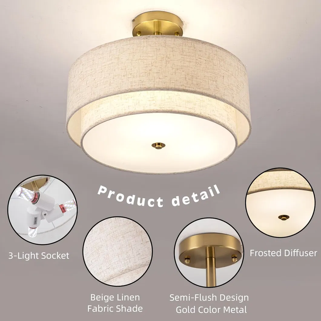 Ceiling Light Fixture 2