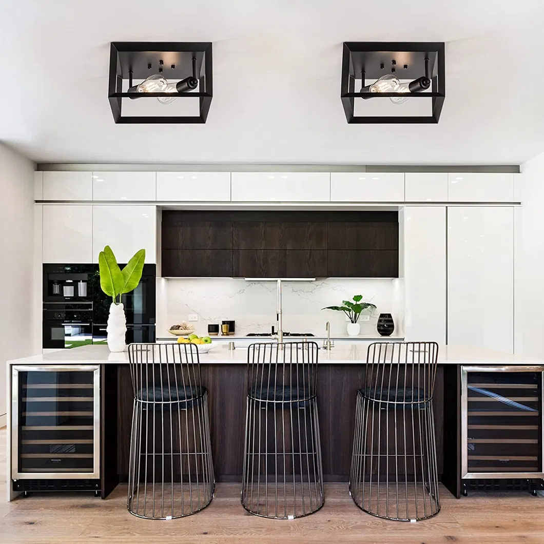 Ceiling Light View 6