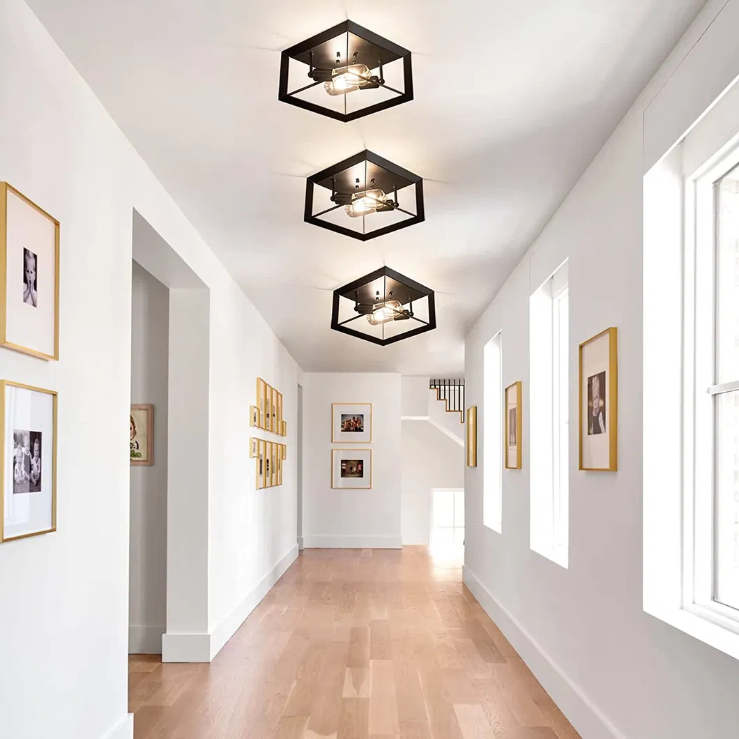 Ceiling Light View 3