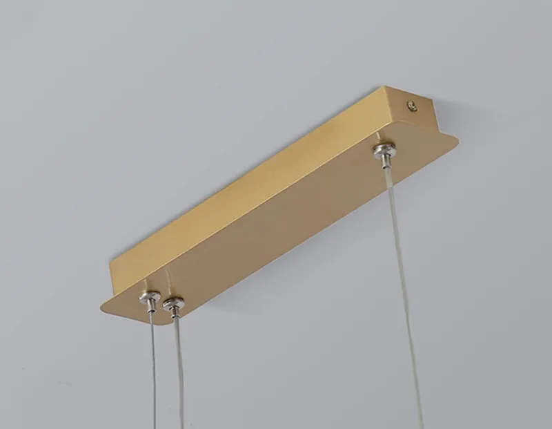 Modern Pendant Lamp Finish