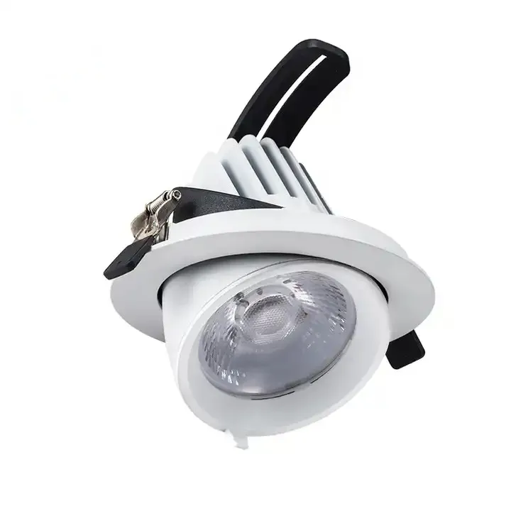 Gimbal LED Downlight 1