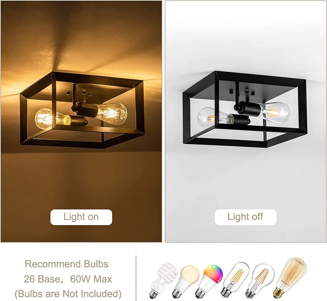 Ceiling Light View 5