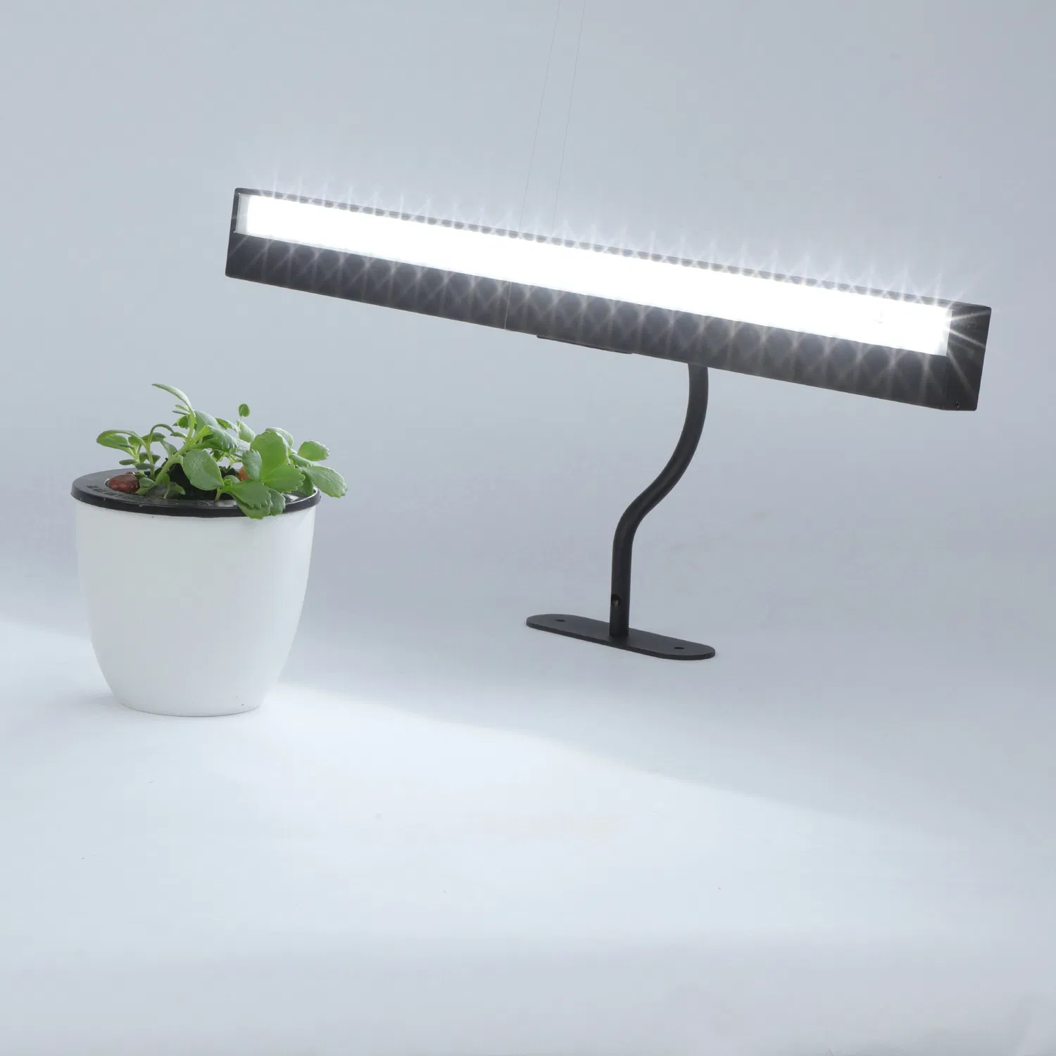 Dimmable Picture Lamp, Wall Lamp, Swing Arm Desk Light for Home Office