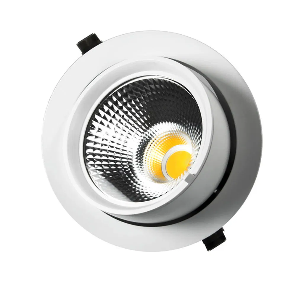 New Trunk Gimbal Recessed Embed Adjustable 5 Year Warranty Rotatable LED Downlight for Fruit Fish Supermarket