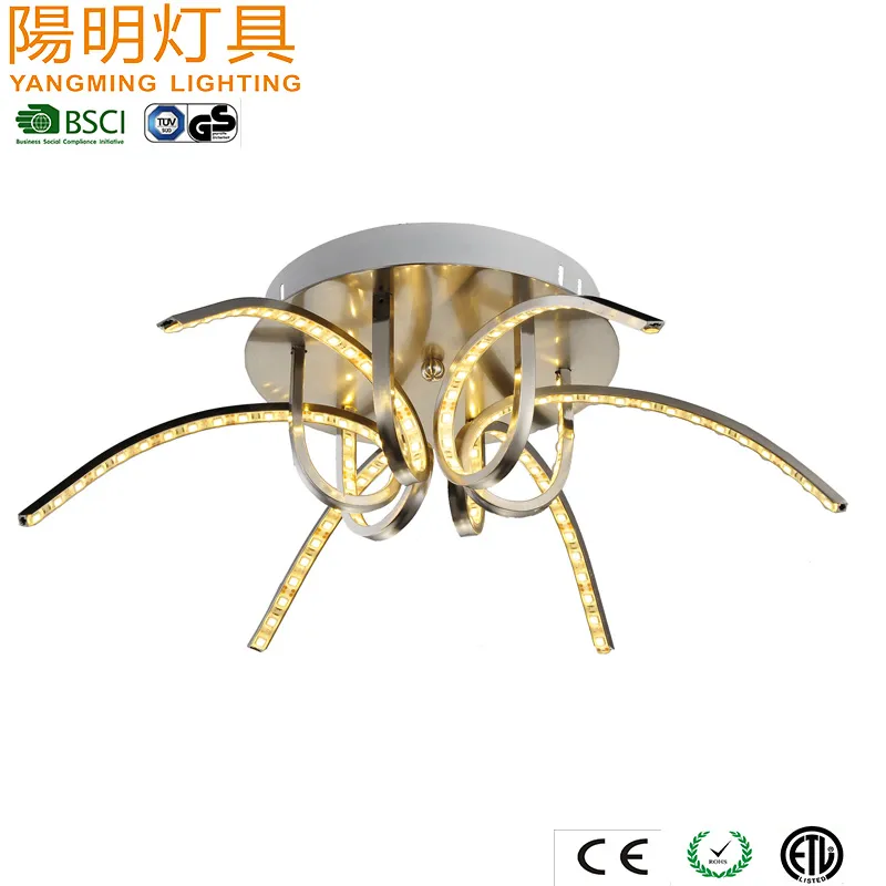 LED Ceiling Light View 1