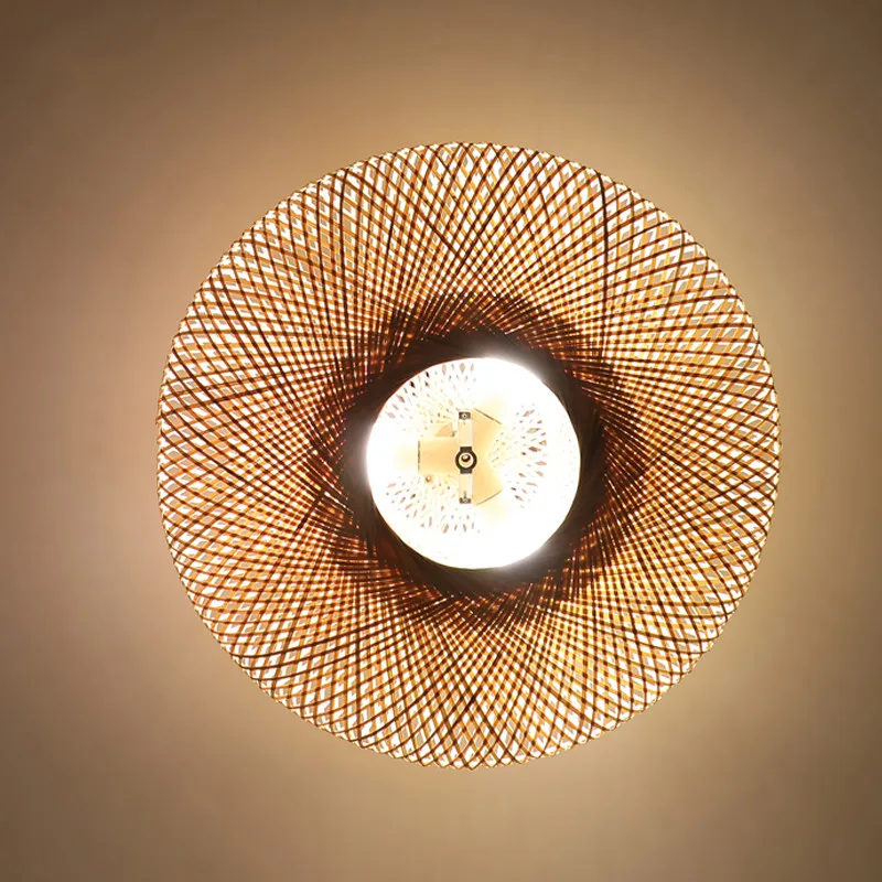 Ceiling Light 2