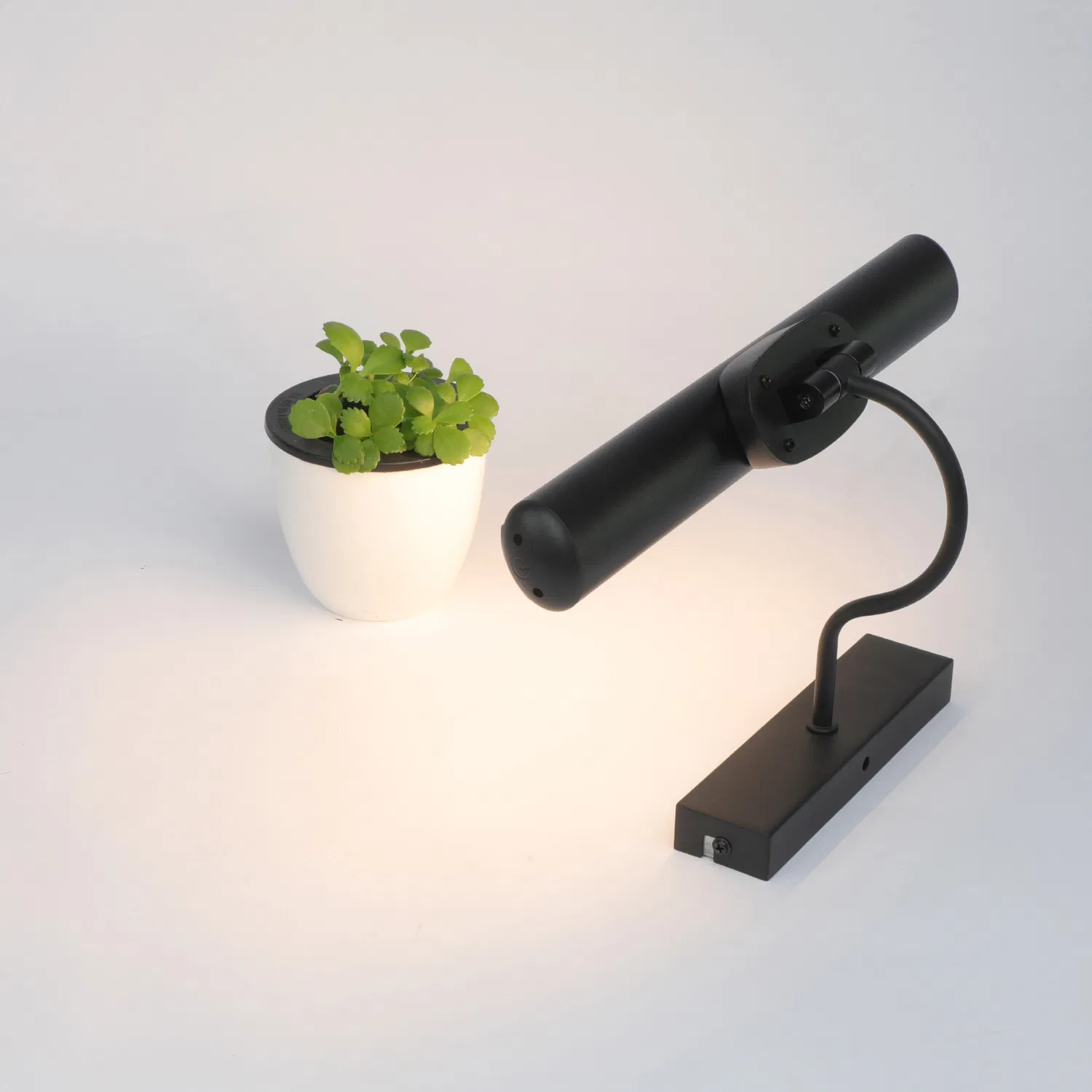Swing Arm Picture Lamp, Wall Lamp, Adjustable LED Desk Lamp for Bars