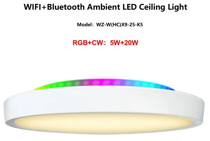 LED Ceiling Light