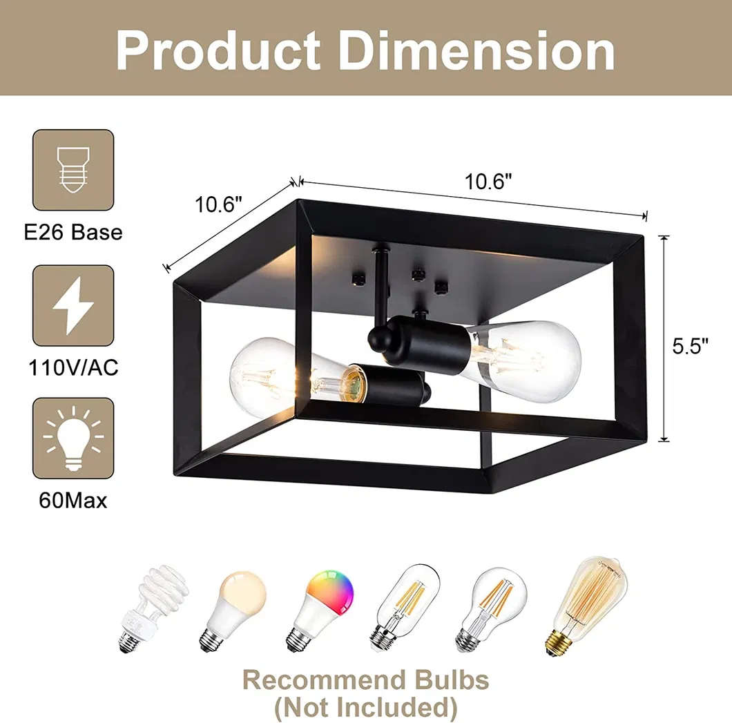 Ceiling Light View 4