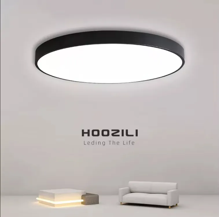 LED Ceiling Light 4