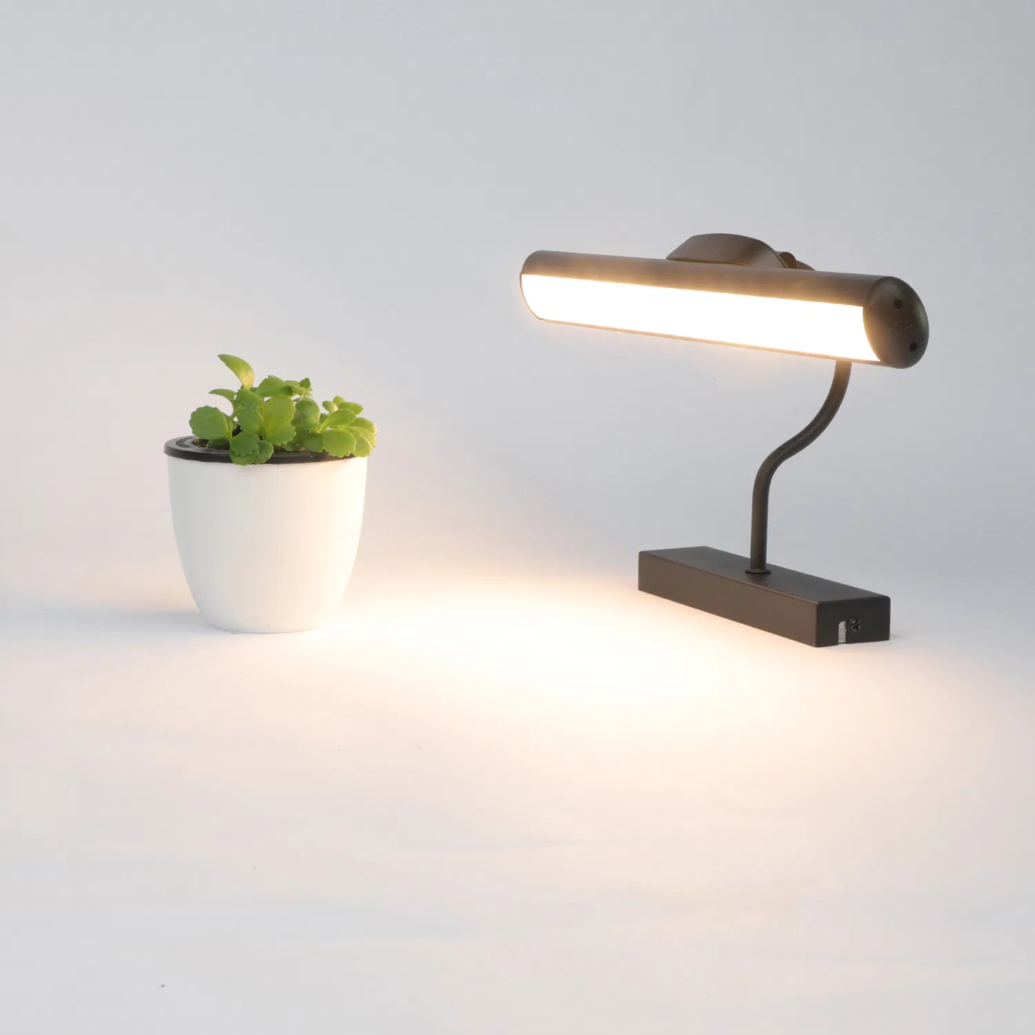Swing Arm Picture Lamp, Wall Lamp, Adjustable LED Desk Lamp for Bars