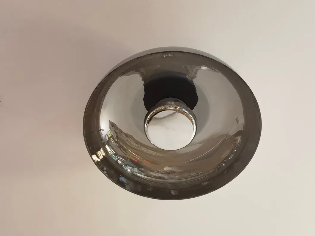 Ceiling Light Fixture 4