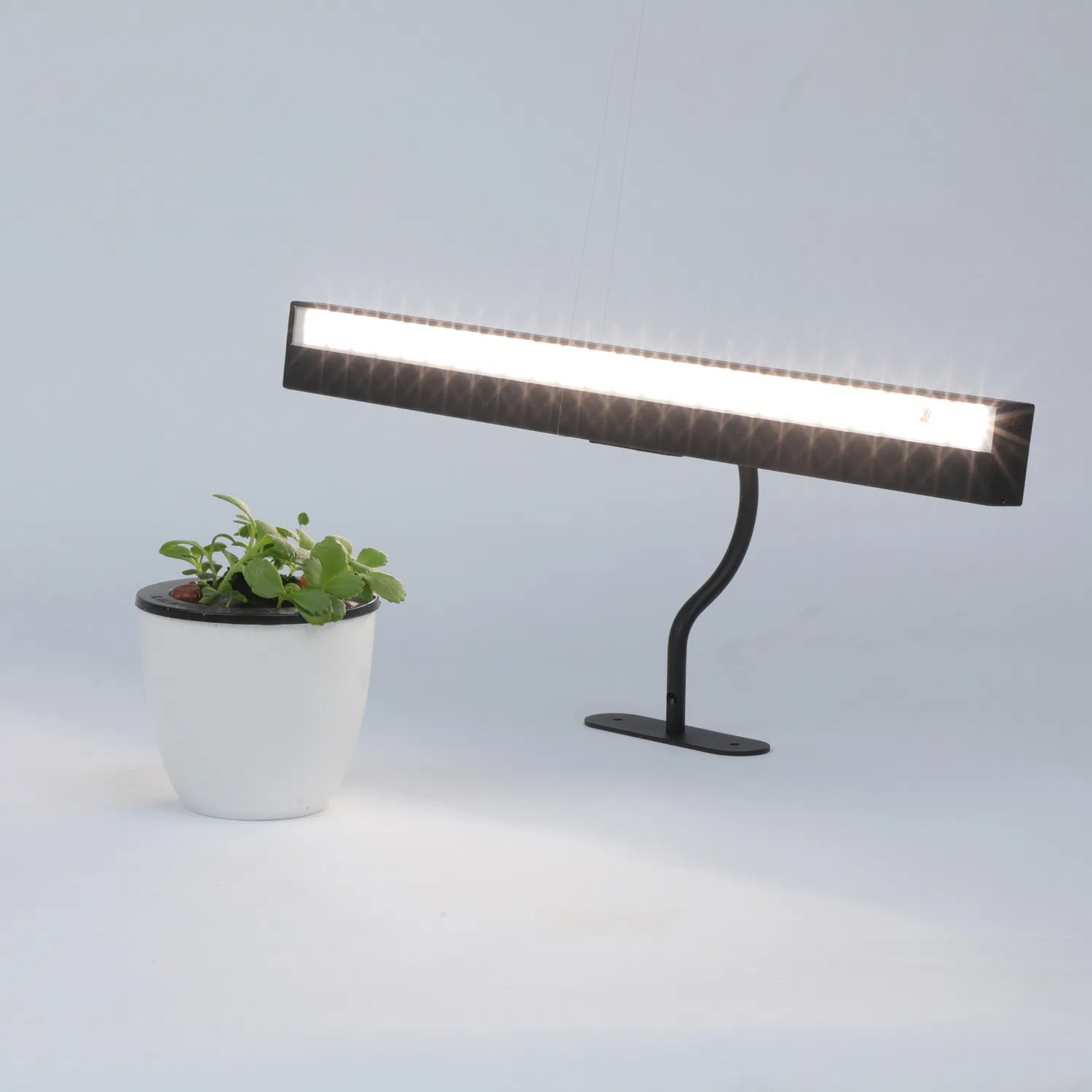 Swing Arm Picture Lamp, Wall Lamp, Adjustable LED Desk Lamp for Reading