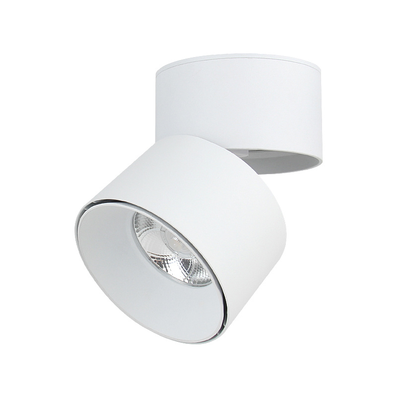 Magnetic COB LED Circular Spot Lighting with Magnetic Track Rail