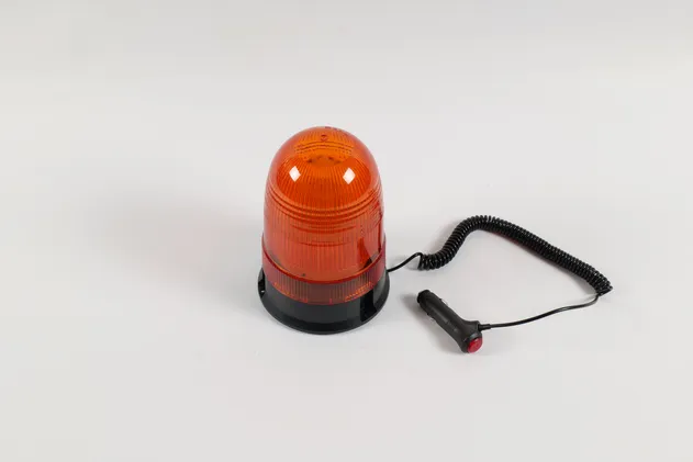 Warning Light Detail 1