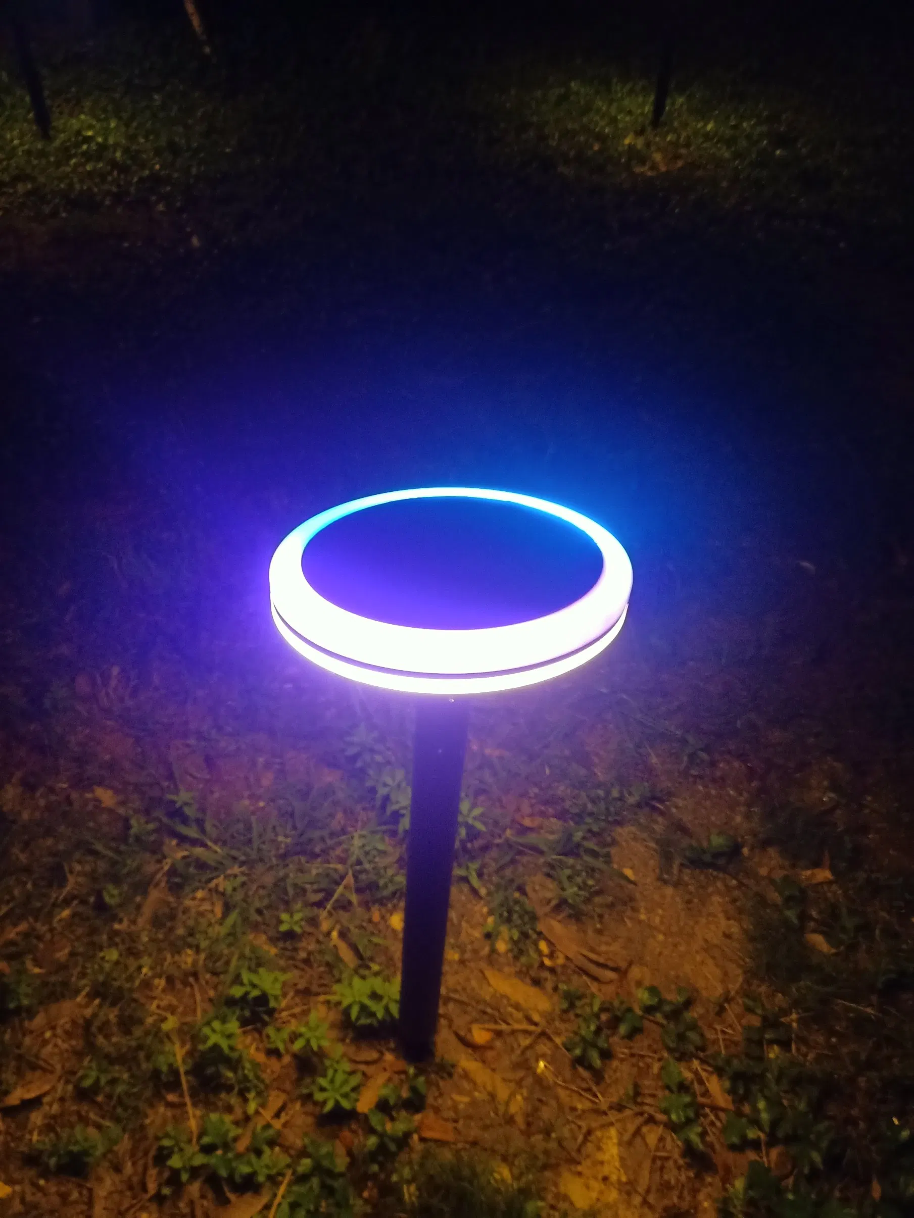 IP65 Waterproof Park Decoration Path Lights Spike Solar Panel Outdoor LED Solar Bollard Lawn Light for Garden