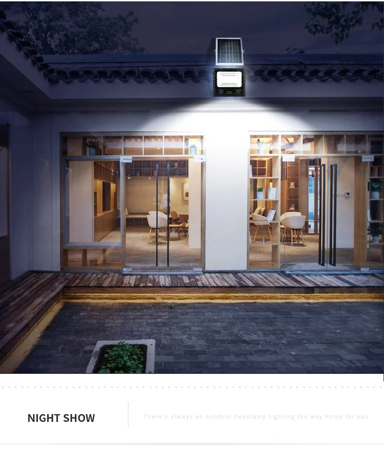 Solar Flood Light Detail 16