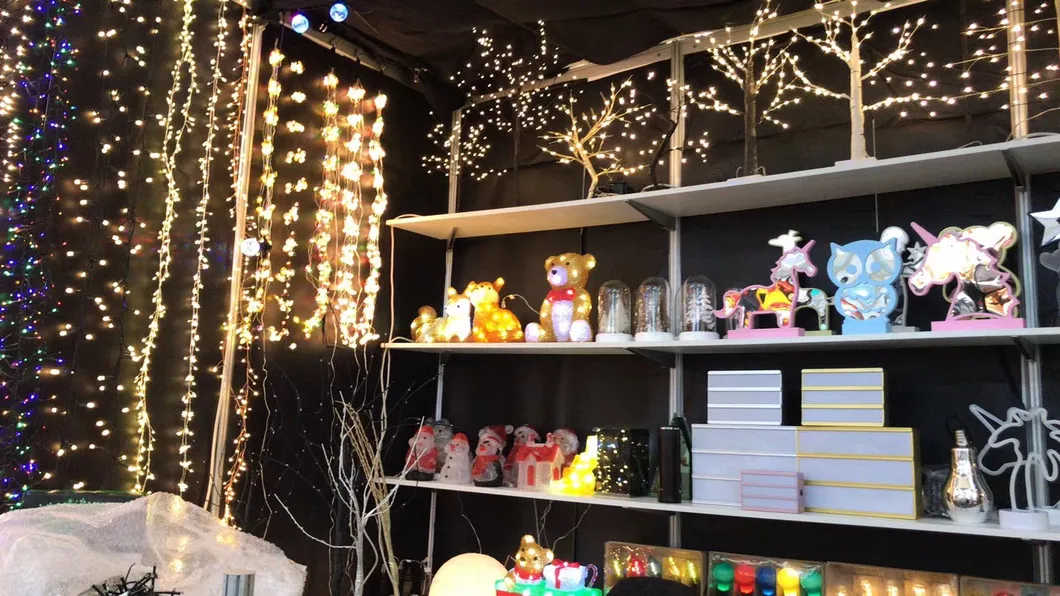 Solar String Lights 10