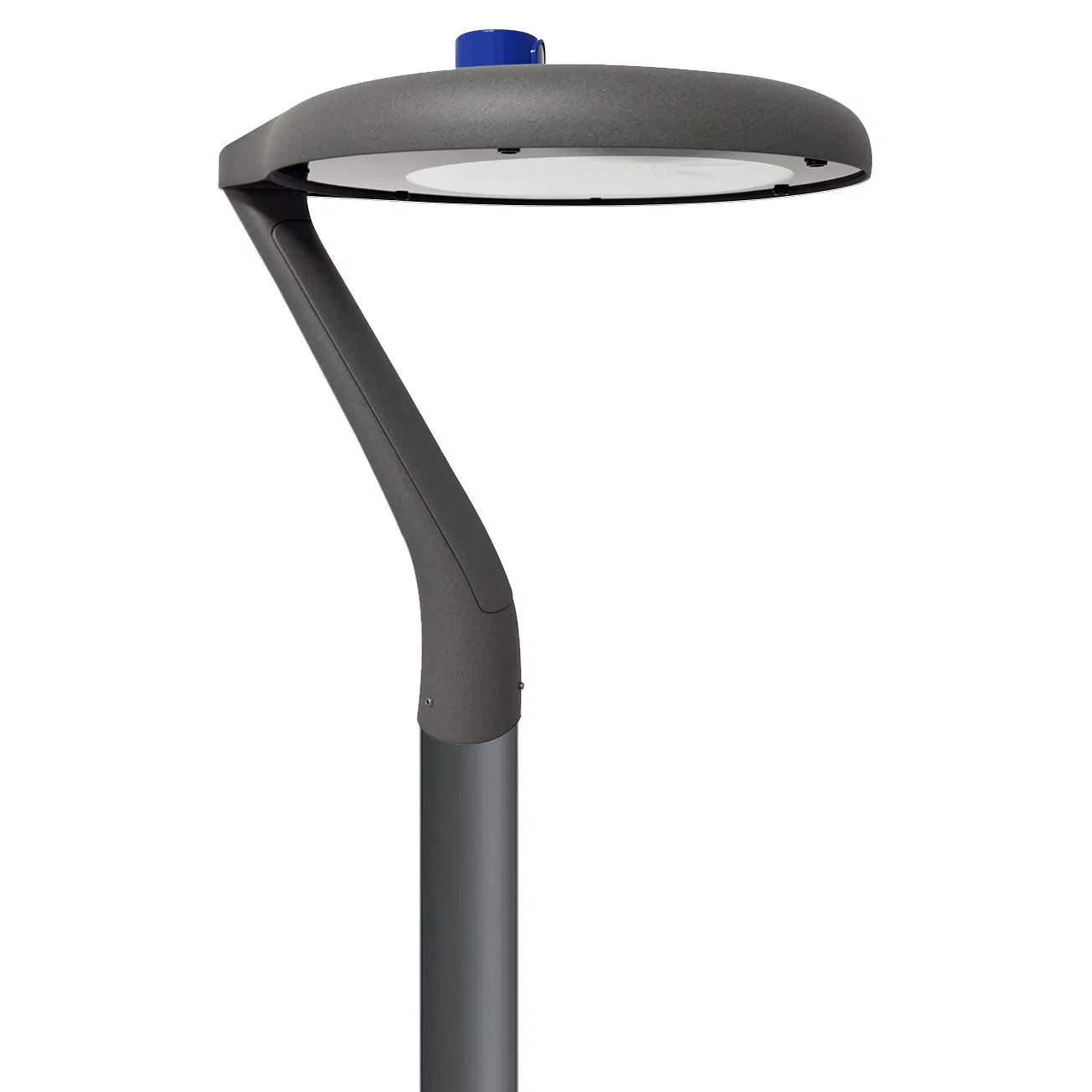 Modern Design Solar Garden Spike Light for Flower Bed Decor