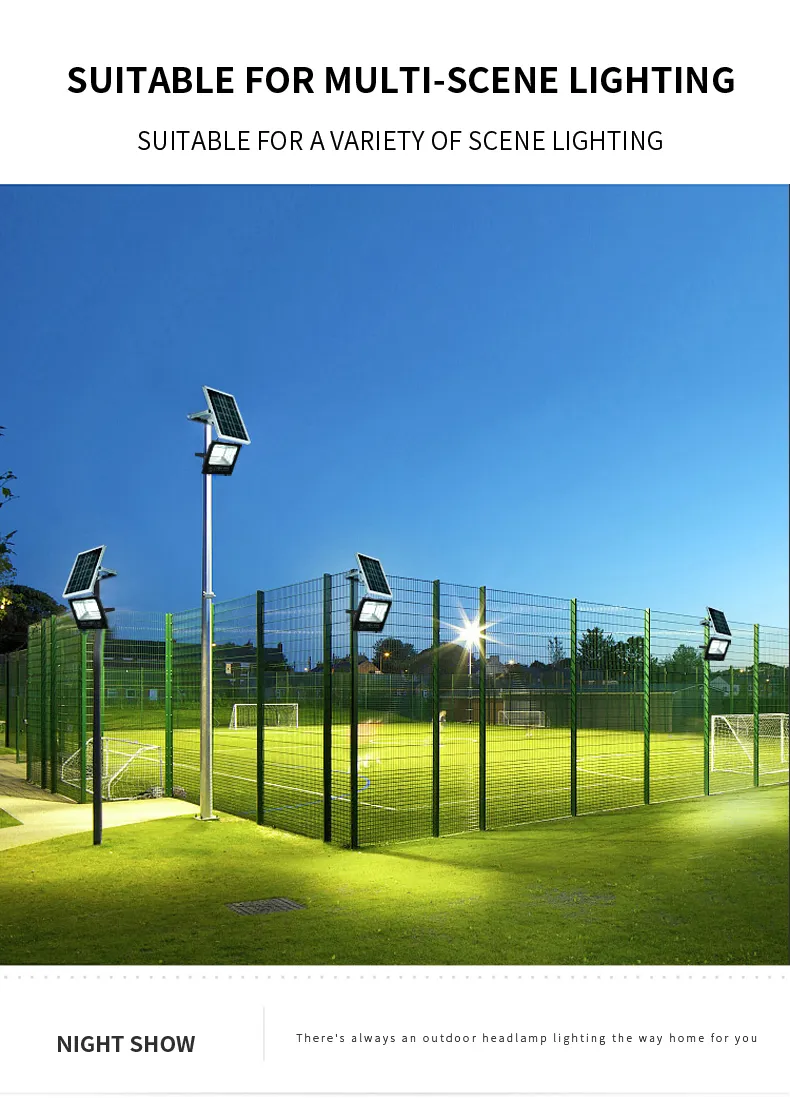 Solar Flood Light Detail 14