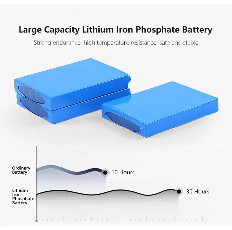 Outdoor LED Garden Light