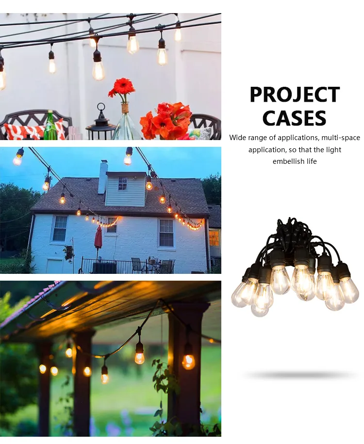 Solar String Light Display 7