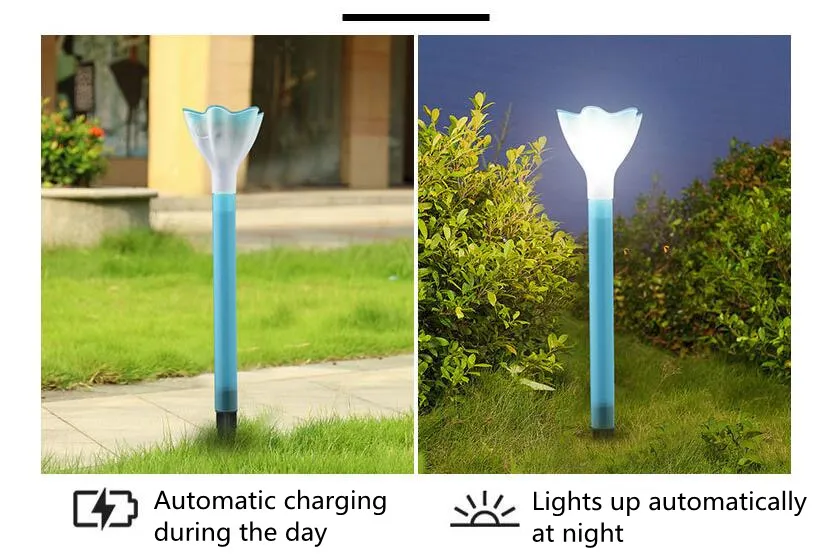 Solar Garden Light 2